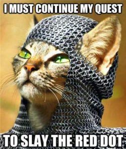 Knight-Cat-Meme