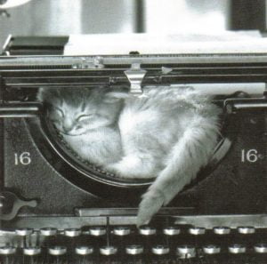 [a monochrome picture of a kitten sleeping in the cavity of a typewriter]