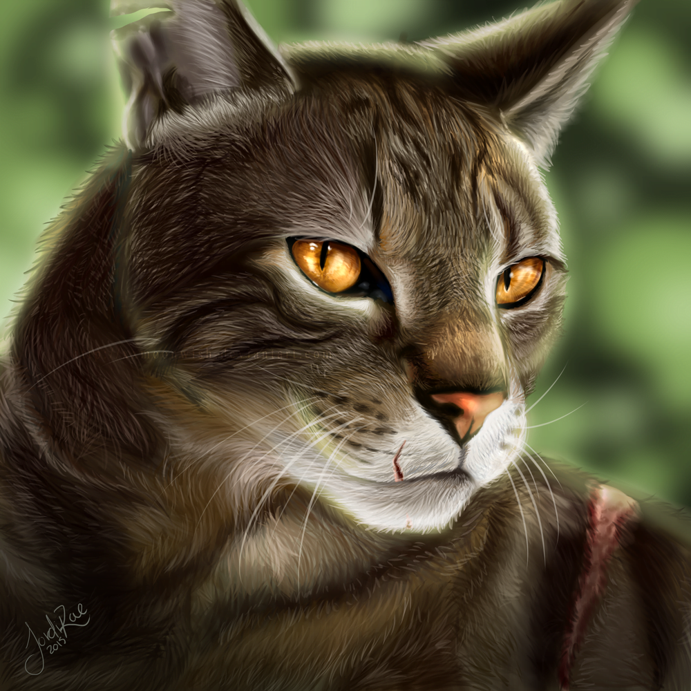 [a realistic headshot of Bramblestar in the forest]