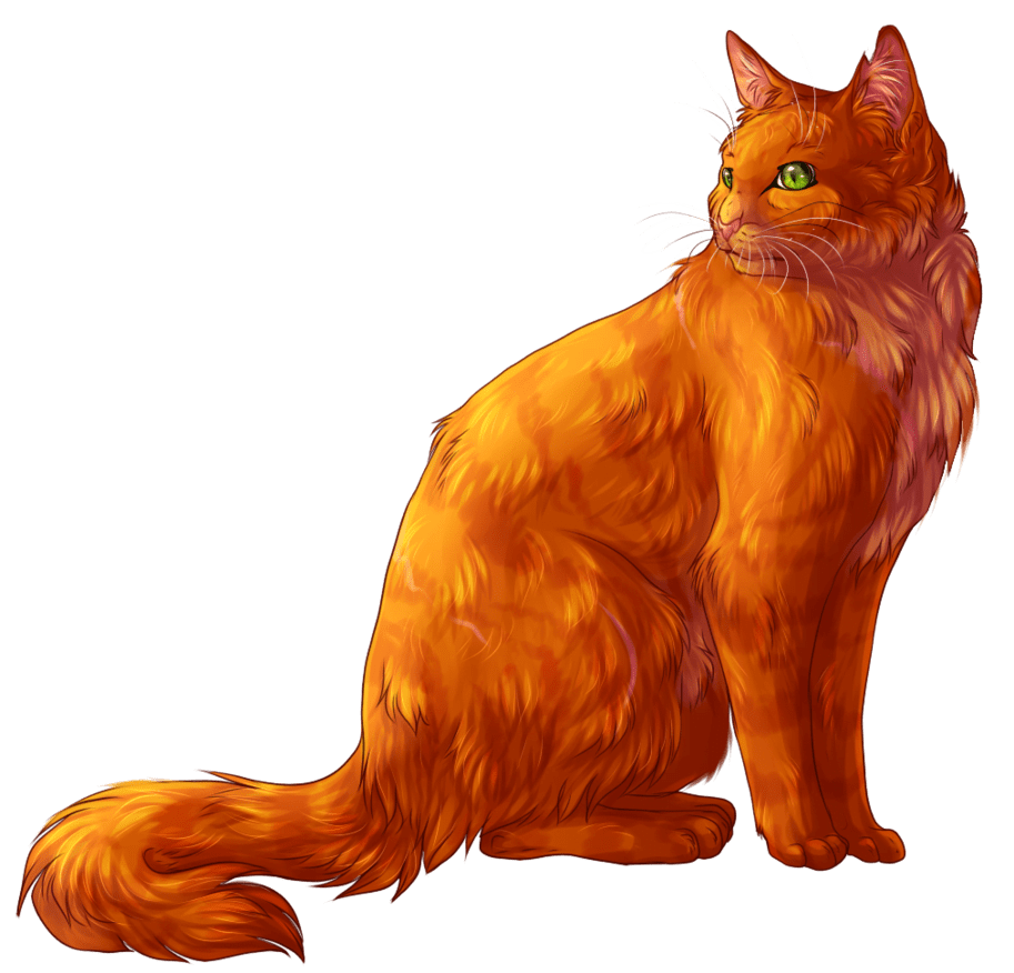 Swiftpaw, Tigerheart, brokenstar, sandstorm, yellowfang