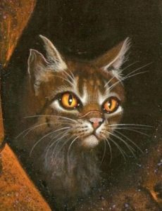 [image description: a brown tabby cat with amber eyes and a nicked ear looks out from a tree hollow]