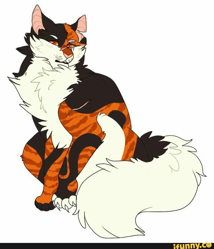 [a fluffy full-body design of Mapleshade sitting with unsheathed claws on one paw]