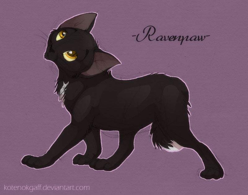 Ravenpaw  Warrior Cats