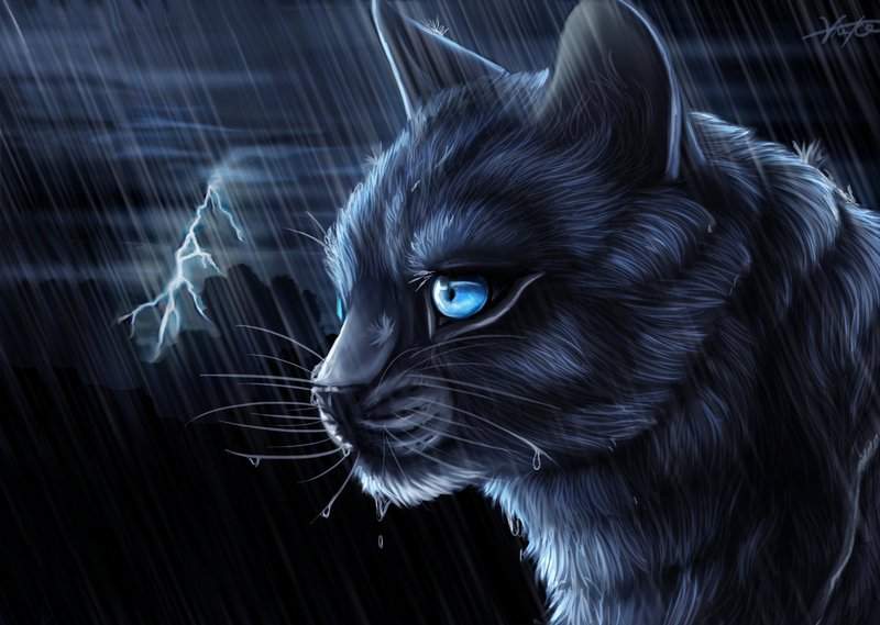 Character- Bluestar - Heck Yeah Warrior Cats!