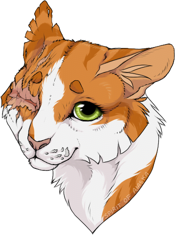 My Fifteen Favorite Warrior Cats By Dovepaw Blogclan