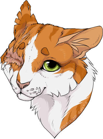 warrior cats brightheart and swiftpaw