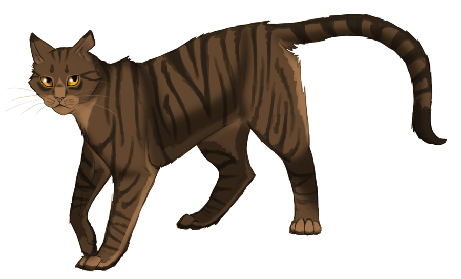 Tigerstar II  Warrior Cats