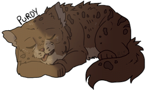 [a design of Purdy napping with his tongue lolling out]