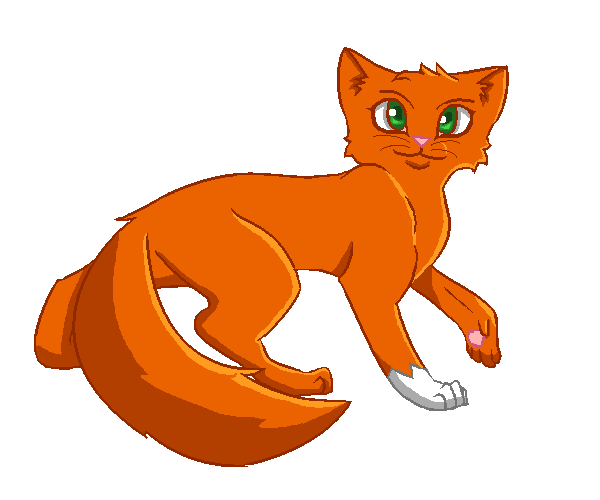 [image description: an orange cat with a white paw and green eyes faces the right and looks at the audience]