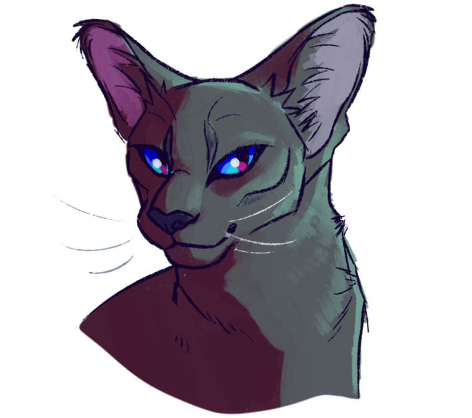 [image description: a headshot of a dark grey cat with blue eyes with white and red reflective dots in them]