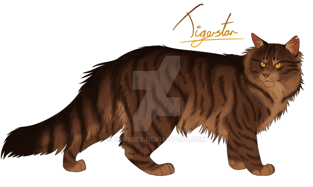 [a full-body design of Tigerstar with a stocky build]