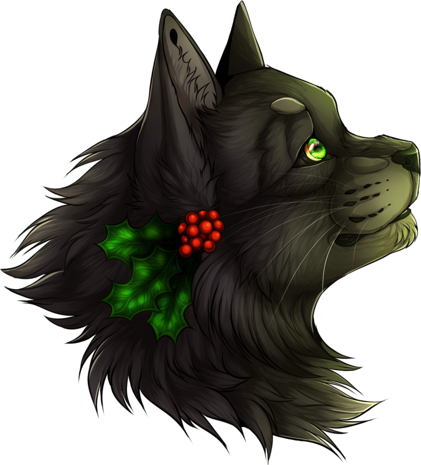 A Little Further Into Why I Love Hollyleaf So Much By Mangonose Blogclan