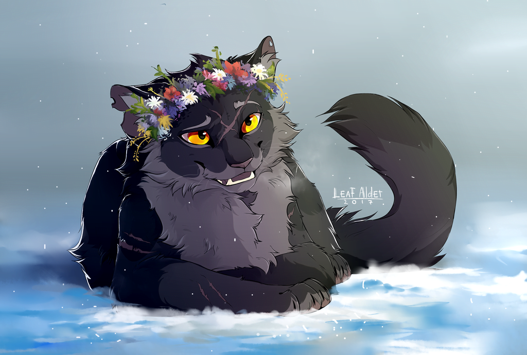 [image description: a scarred fluffy black cat with yellow eyes and a flower crown lays on snowy ground]