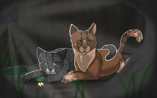 Ravenpaw and barley 💜 one of my favorite warrior cat relationships in 2023