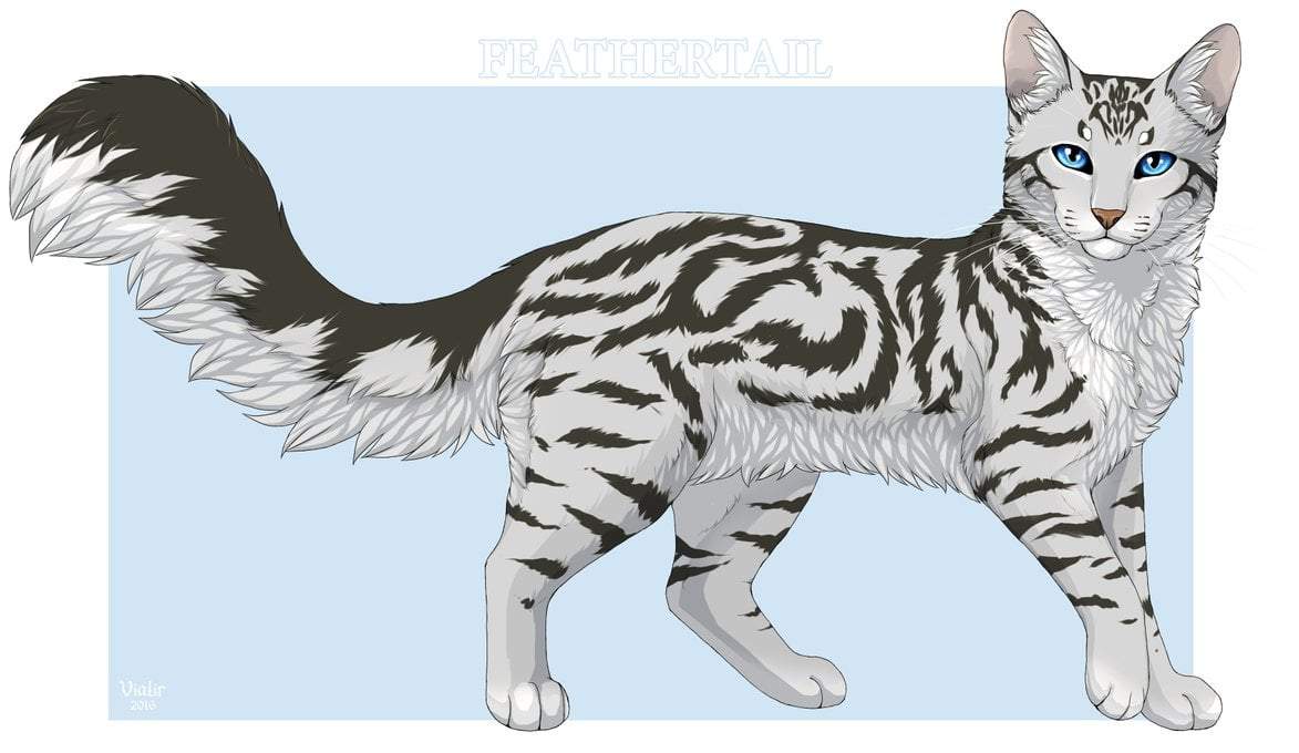 Examining Jayfeather and My Honest Opinion by Mistheart – BlogClan