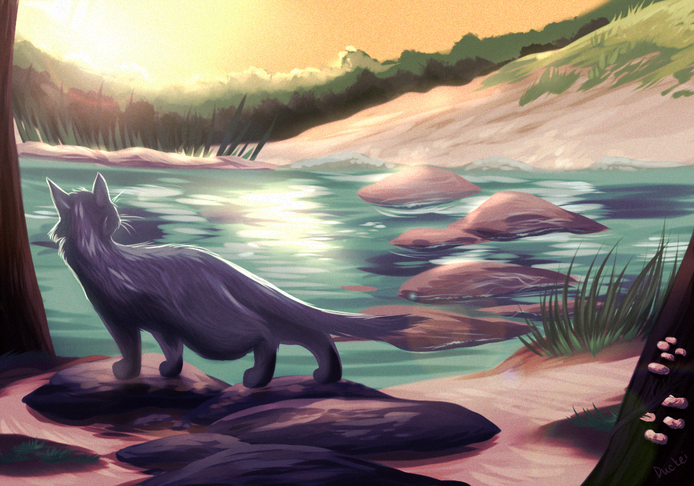 [Bluestar looks out at the Sunningrocks as the afternoon sun reflects off the water]
