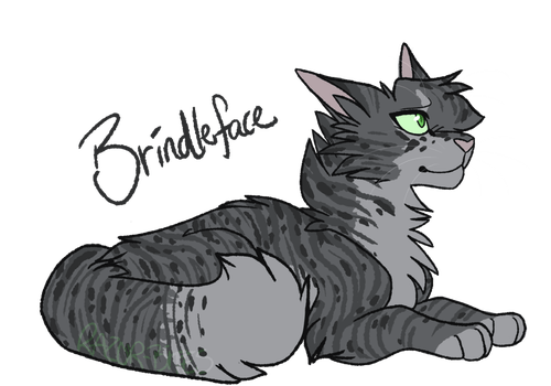 [image description: a dark grey tabby cat with light green eyes and darker and lighter grey markings lays down facing the right. "Brindleface" is written in grey above its back]