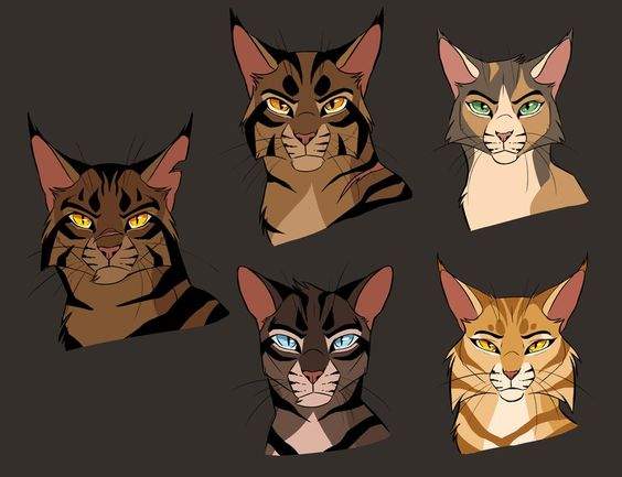 Tigerstar 2, and Why He Is One of the Worst Leaders by Meadowpoppy –  BlogClan