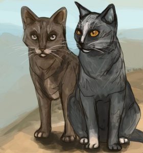 [image description: a dark grey cat with amber eyes and dried mud on its head and paws sits while looking to the left. a dark brown cat with yellow eyes stands beside the grey cat]