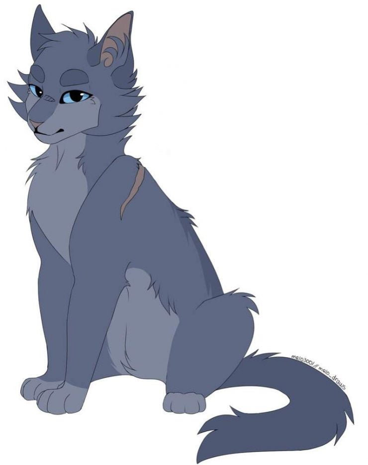 warrior cats coloring pages bluestar inc