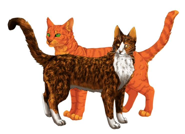 [Spottedleaf looks over her shoulder at Firestar who stands behind her]