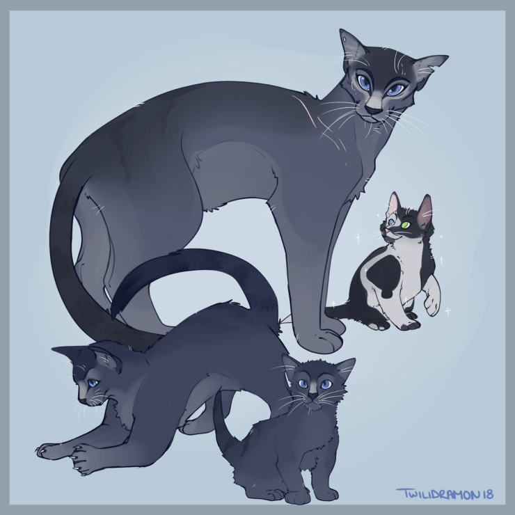 My art of Bluestar, about 2 months apart, enjoy : r/WarriorCats