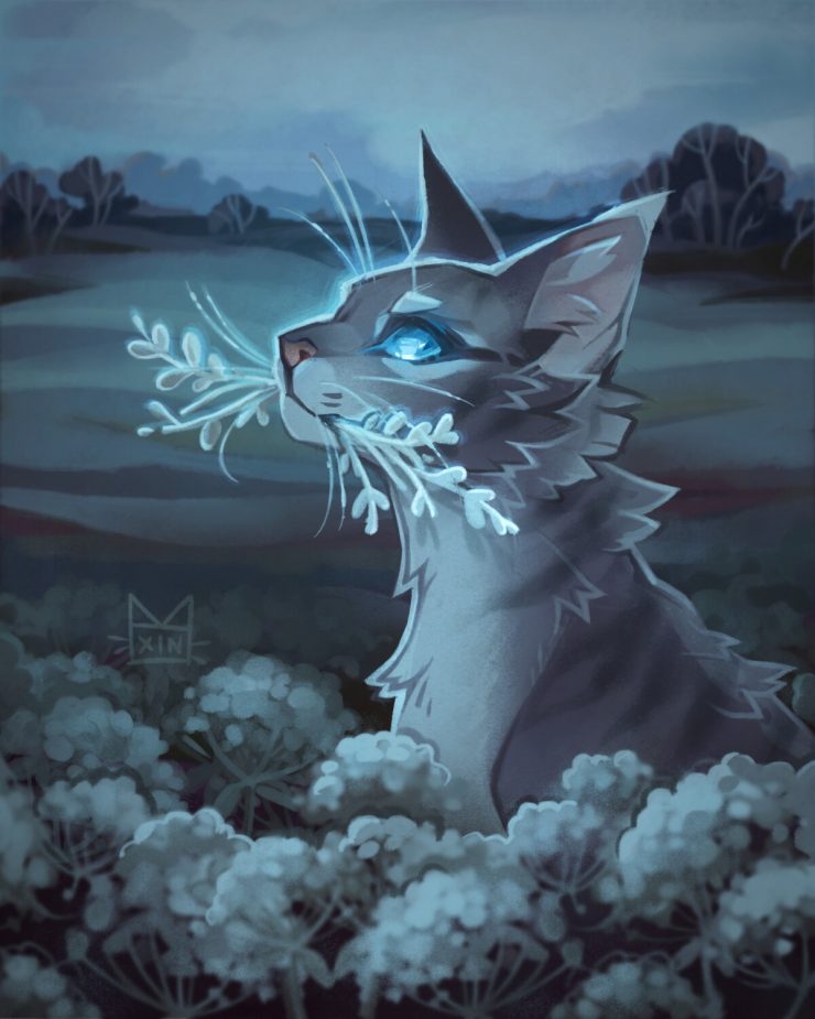 jayfeather warrior cats Thunder the Silkwing - Illustrations ART