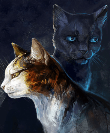 Why I think Jayfeather should have been a warrior by Mountainstorm