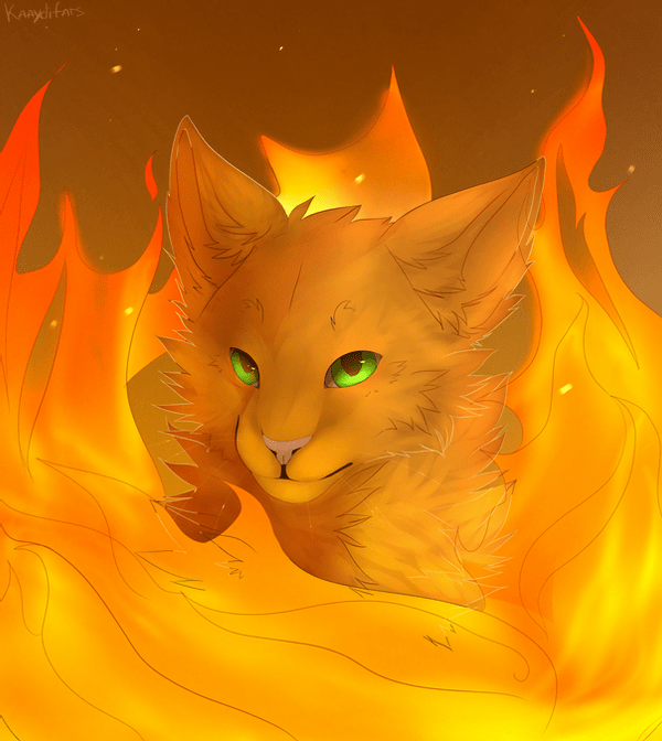 Firestar and Bluestar  Warrior Cats Dunes-of-Fruit