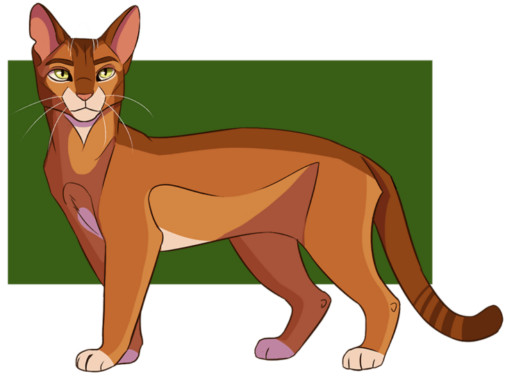 Stream 5 free Ashfur + Warrior Cats radio stations