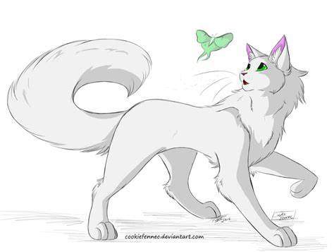 warrior cats Bluestar with moth