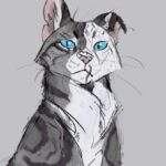 Is a Warrior Cats movie possible? by Falconpaw – BlogClan