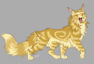 a drawing of a fluffy yellow tabby cat in front of a grey background