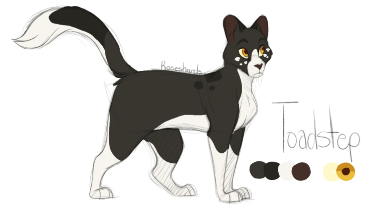 Warrior Cats, Idea Wiki