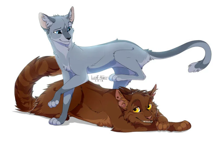 Warrior Cats Blog: The Warrior Code