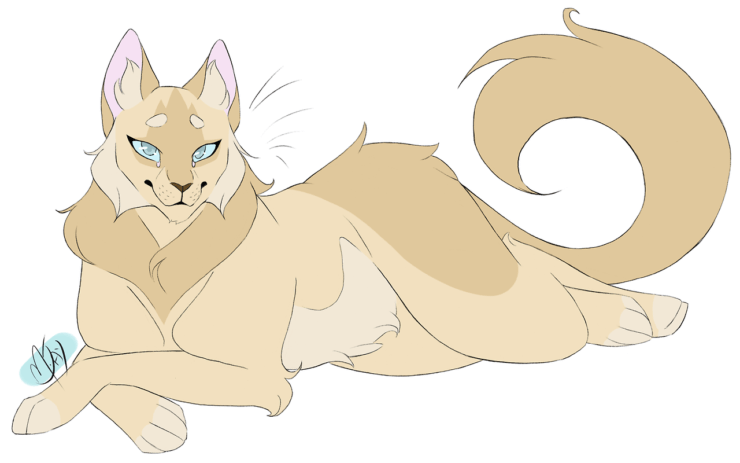 [image description: a pale yellow cat with blue eyes laying down on a white background]