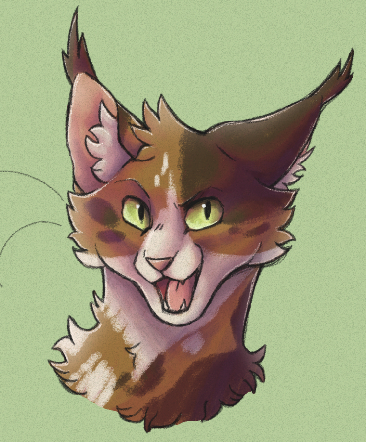 [image description: headshot of a tortoiseshell cat with light green eyes and an excited expression]