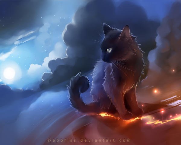 [image description: a dark cat with light eyes sits on a fiery trail on a cloudy night sky]