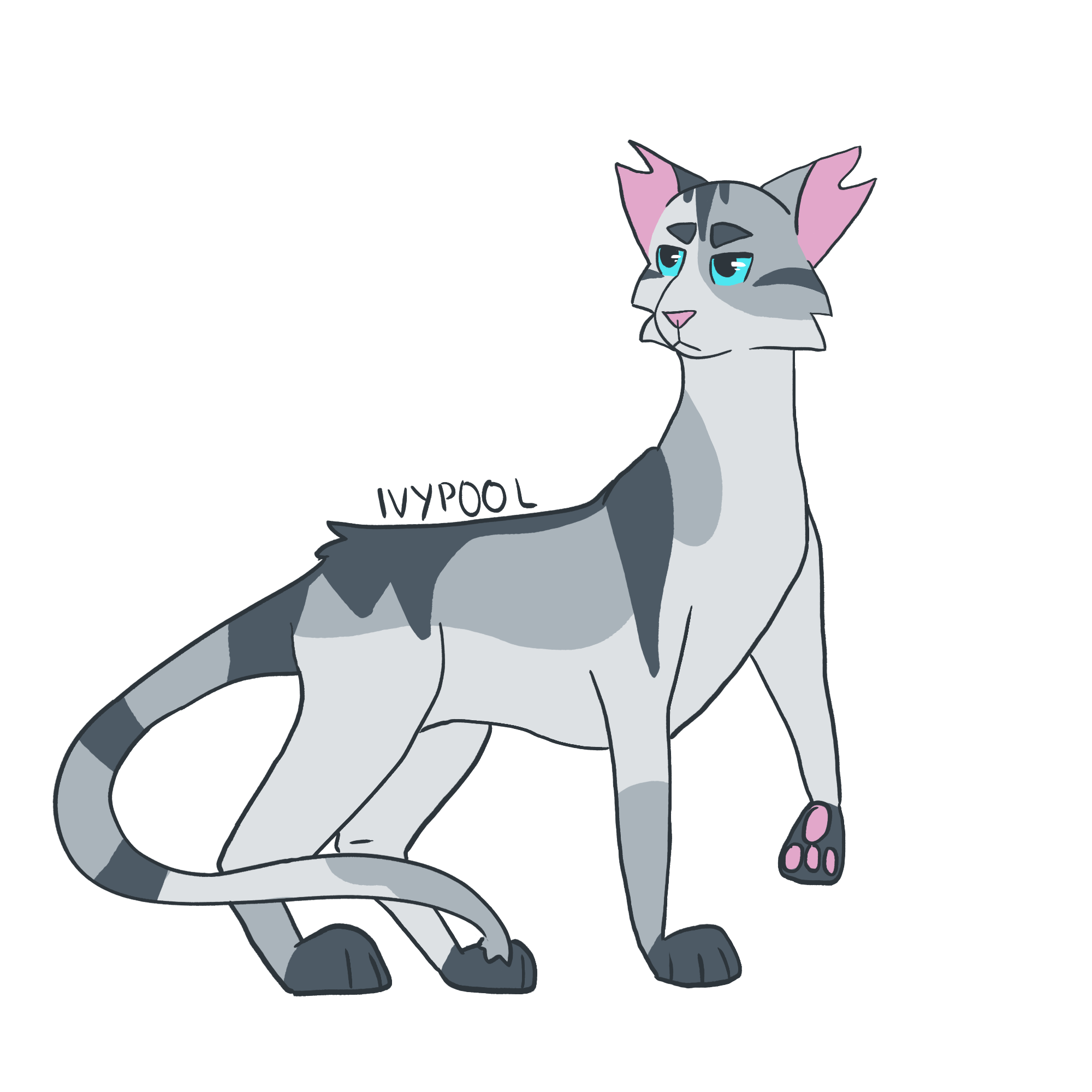 [a design of Ivypool with a neutral expression]