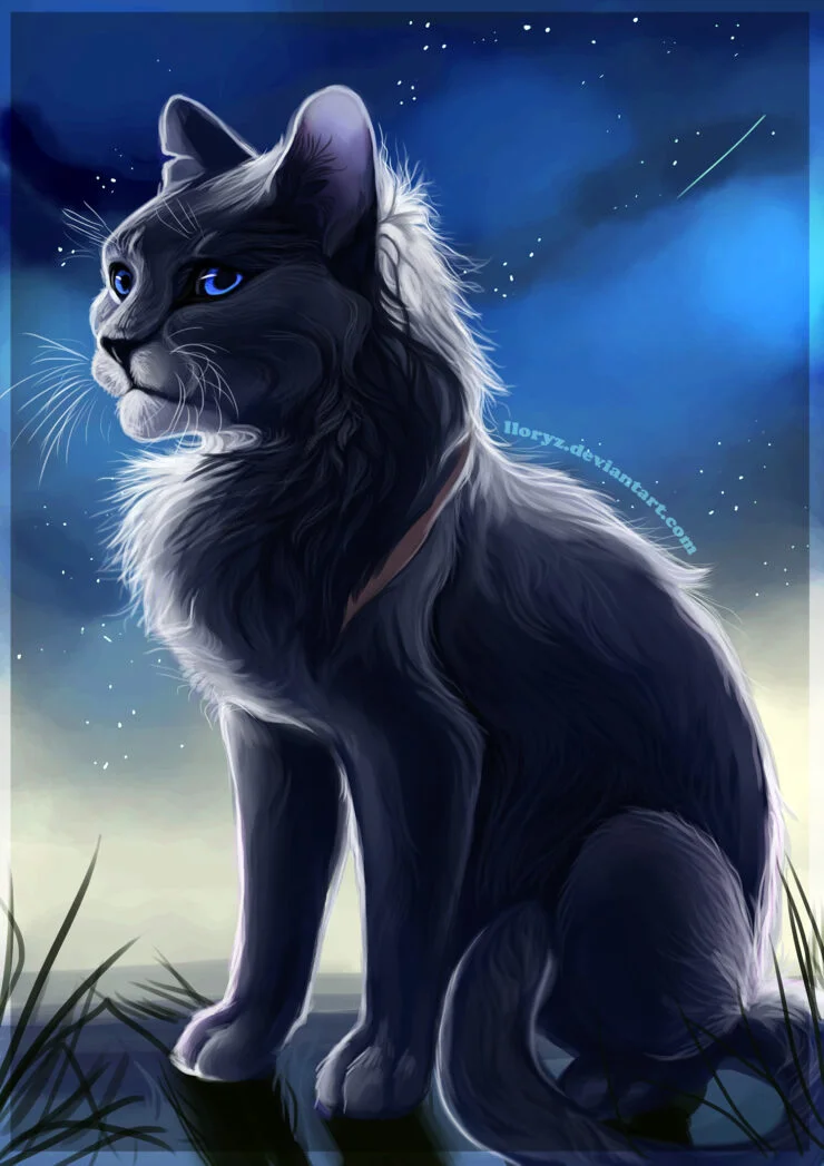 warriors cat stuff — cryptidclaw: Bluestar redesign! I made her