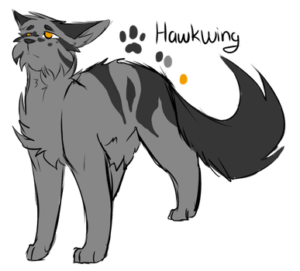 [Design reference sheet for Hawkwing, who has a sad expression]