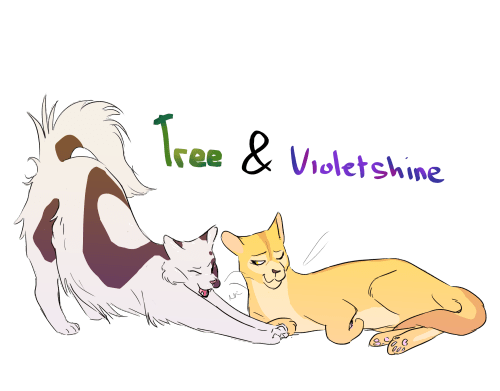 [Violetshine stretches beside a lounging Tree]