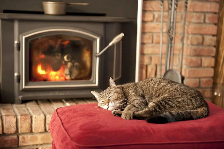 [a brown tabby cat sleeps on a red ottoman in front of a lit fireplace]
