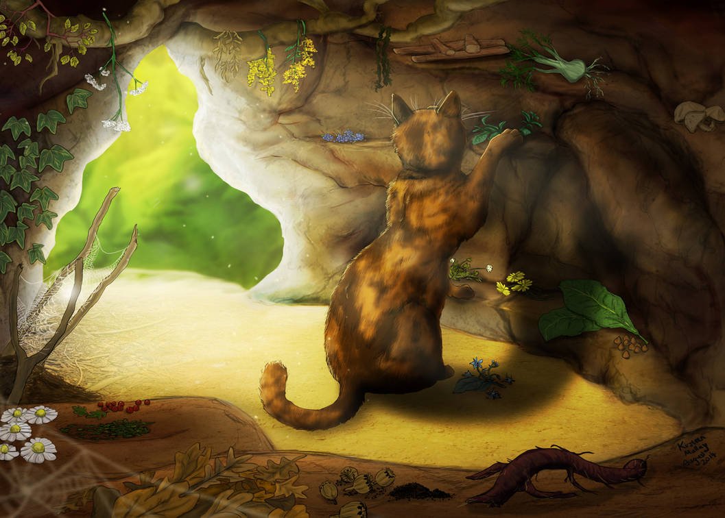[Spottedleaf organizes herbs in the medicine cat den]